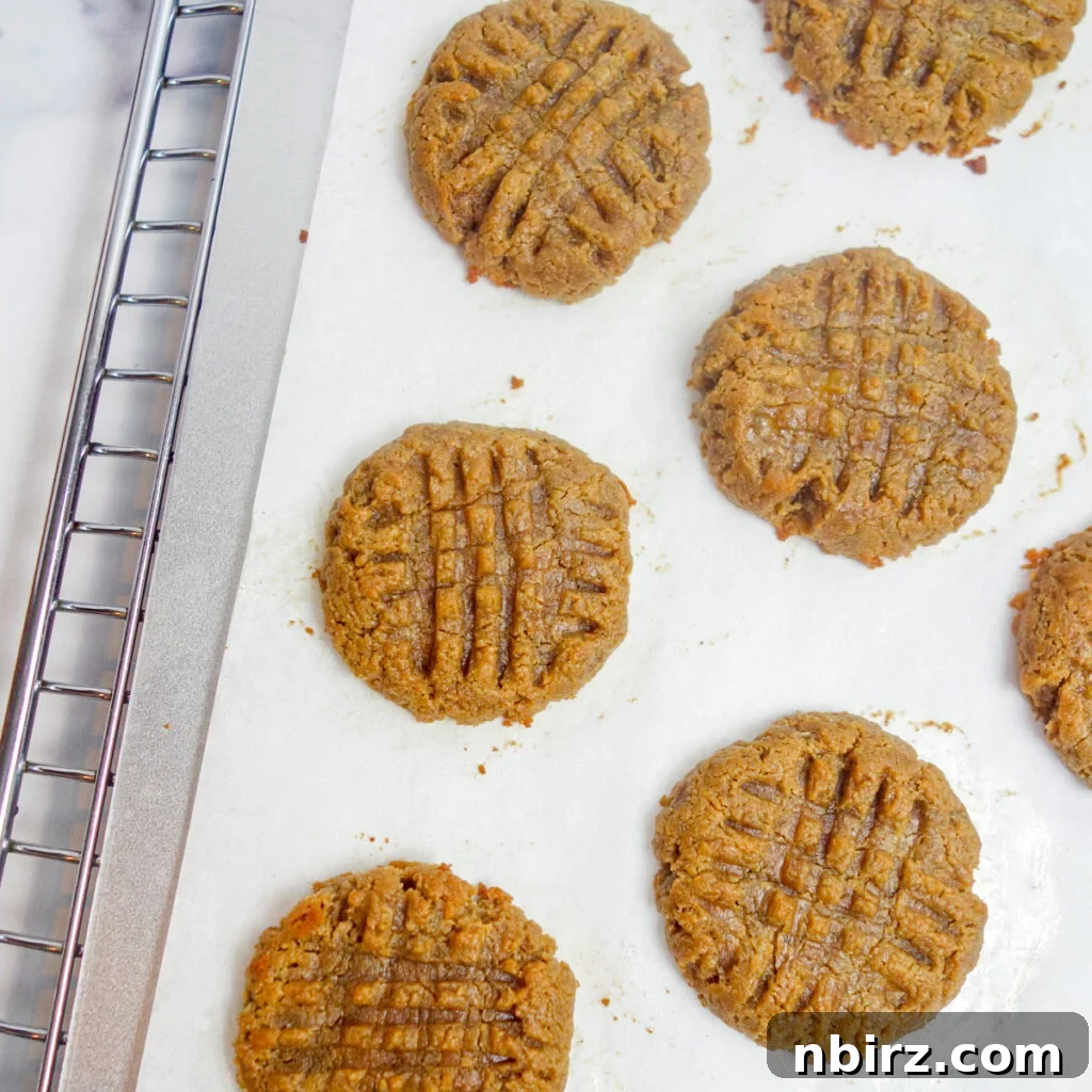Effortless Two-Ingredient Vegan Gluten-Free Oil-Free Peanut Butter Banana Cookies 9 baked peanut butter banana cookies on a baking sheet atop a cooling rack.