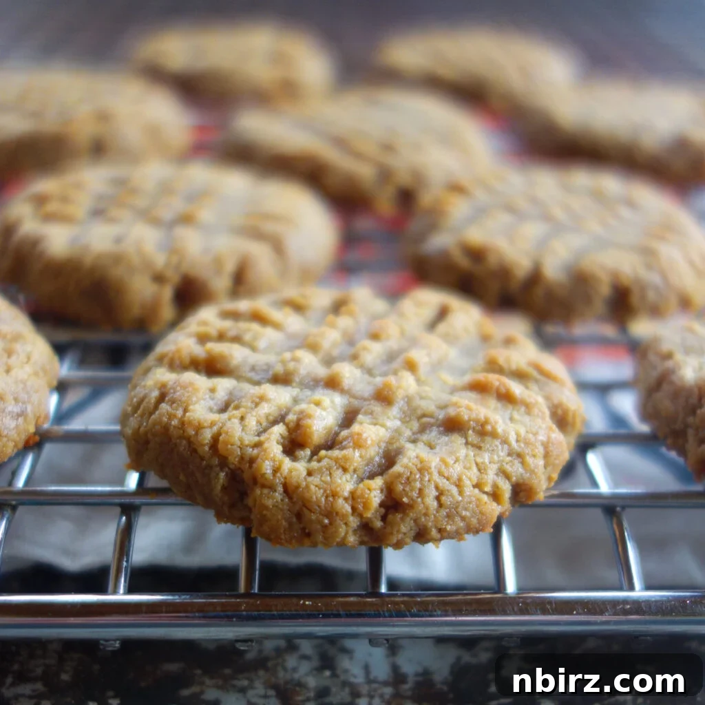 Effortless Two-Ingredient Vegan Gluten-Free Oil-Free Peanut Butter Banana Cookies 10 peanut butter banana cookies on a cooling rack