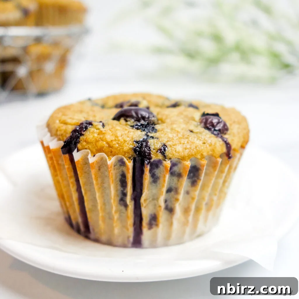 Guiltless Vegan Blueberry Oat Muffins Naturally Oil Free Gluten Free 2 oil-free vegan blueberry oat muffin on a white plate