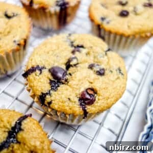 Guiltless Vegan Blueberry Oat Muffins Naturally Oil Free Gluten Free 3 oil-free vegan blueberry oat muffins cooling on a cooling rack