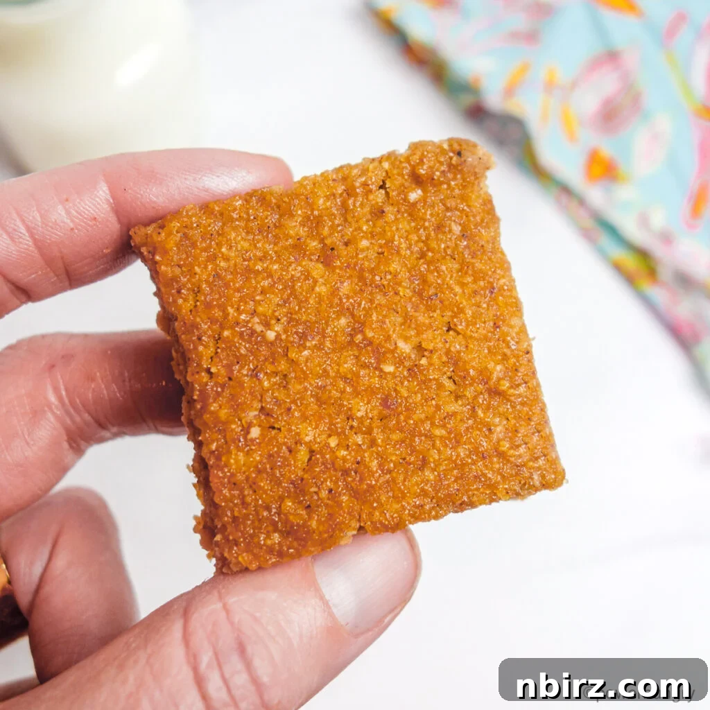 Wholesome Vegan Almond Applesauce Bars 2 Close-up view of a perfectly baked vegan almond flour applesauce bar, showcasing its moist texture and golden-brown edges.
