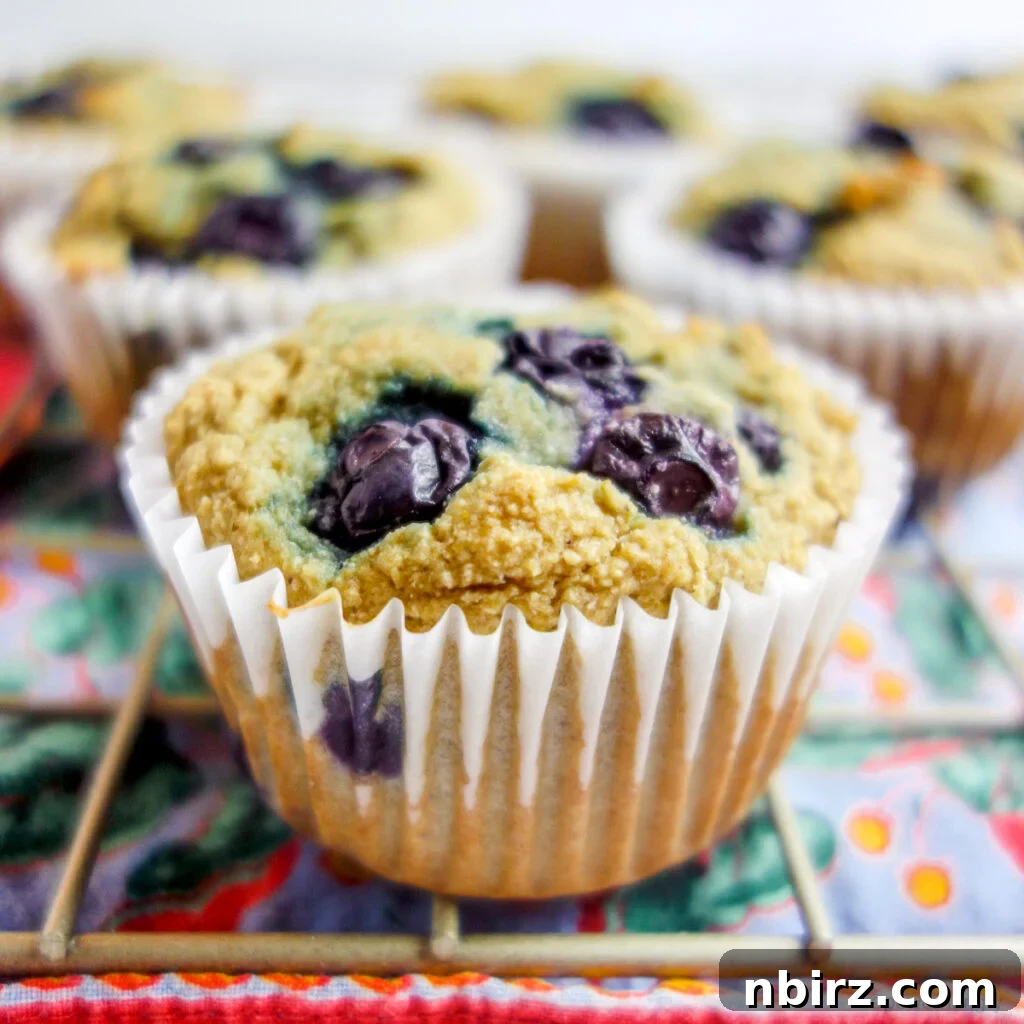 Vegan Gluten Free Blueberry Coconut Oat Muffins 2 gluten free coconut flour oat blueberry muffin on a cooling rack