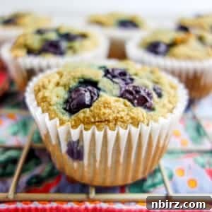 gluten free coconut flour oat blueberry muffin on a cooling rack