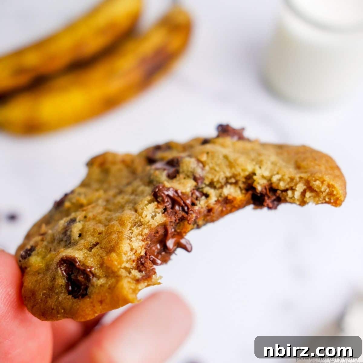 chocolate chip cookie with a bite taken out