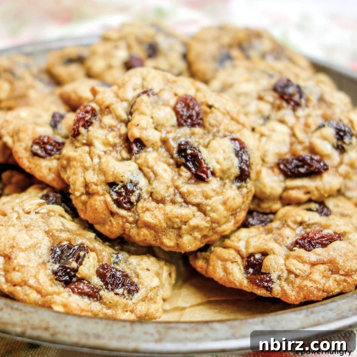 Wholesome Vegan Oatmeal Raisin Cookies No Oil No Gluten 6 A beautiful stack of vegan oatmeal raisin cookies displayed in a vintage tin dish, highlighting their rustic charm and inviting appearance.