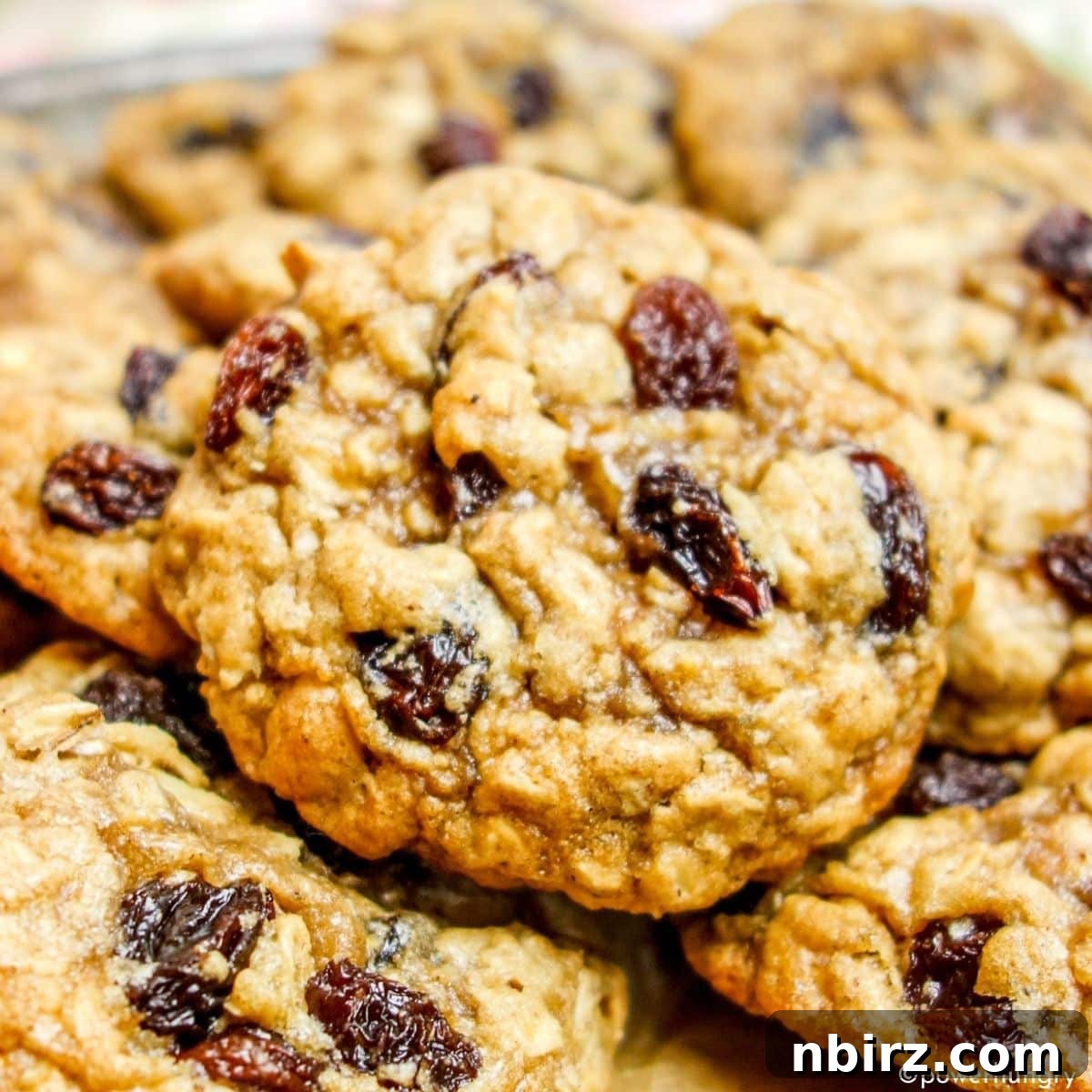 Wholesome Vegan Oatmeal Raisin Cookies No Oil No Gluten 8 A close-up view of several freshly baked vegan oatmeal raisin cookies, highlighting their perfectly browned surface and inviting texture.