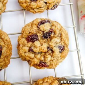 close up of a vegan oil-free oatmeal raisin cookie on a cooling rack