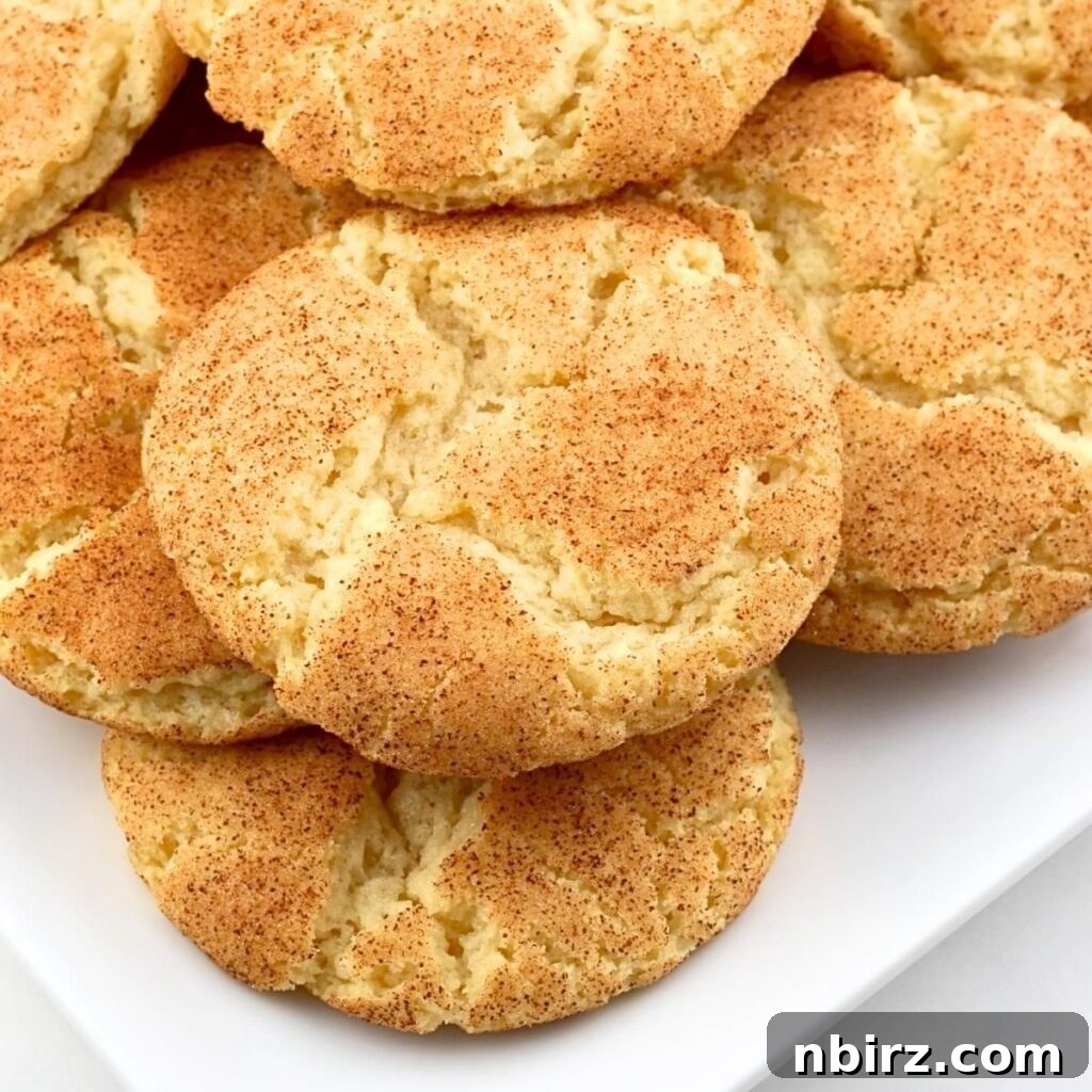 Flourless Vegan Snickerdoodles 2 A charming pile of golden-brown vegan chickpea flour snickerdoodle cookies, perfectly dusted with cinnamon sugar, arranged invitingly on a pristine white plate.