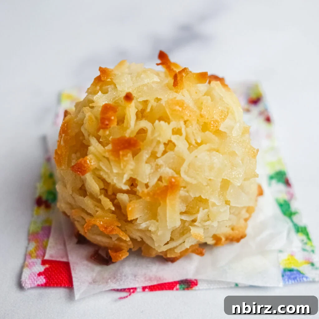 a single chickpea flour macaroon on a colorful napkin