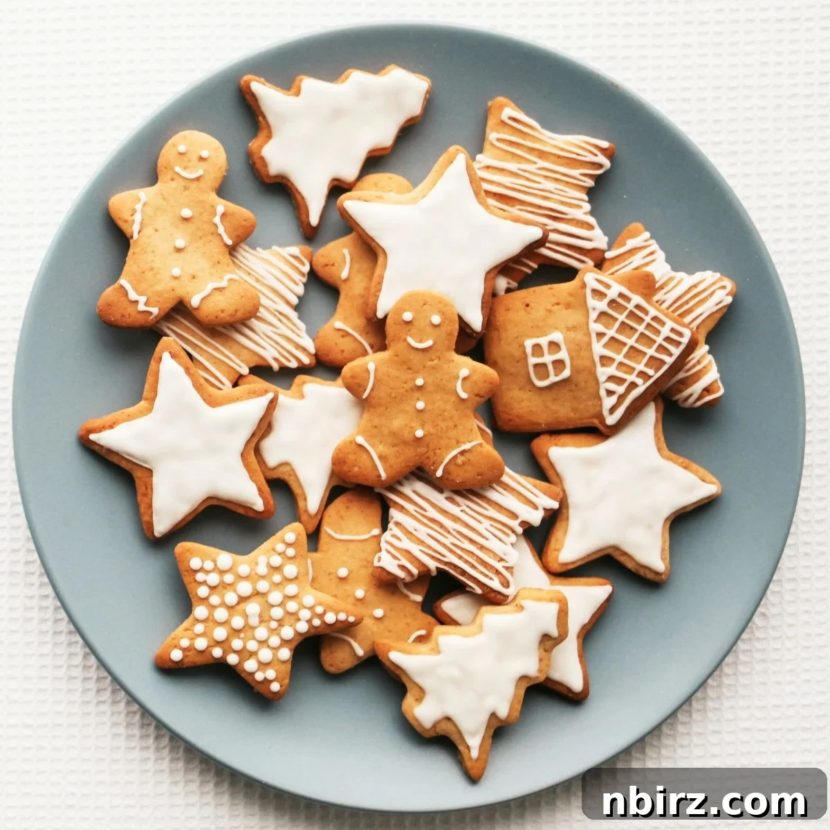 Wholesome Vegan Oat Flour Cutouts 2 oat flour cut out cookies on a pale blue plate