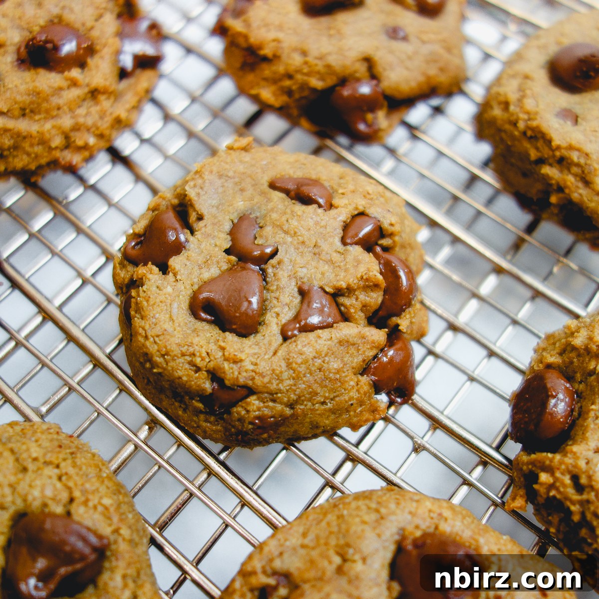 A close-up view of chocolate chip flax cookies, perfectly baked and cooling on a copper wire rack, highlighting their crisp edges and rich chocolate.
