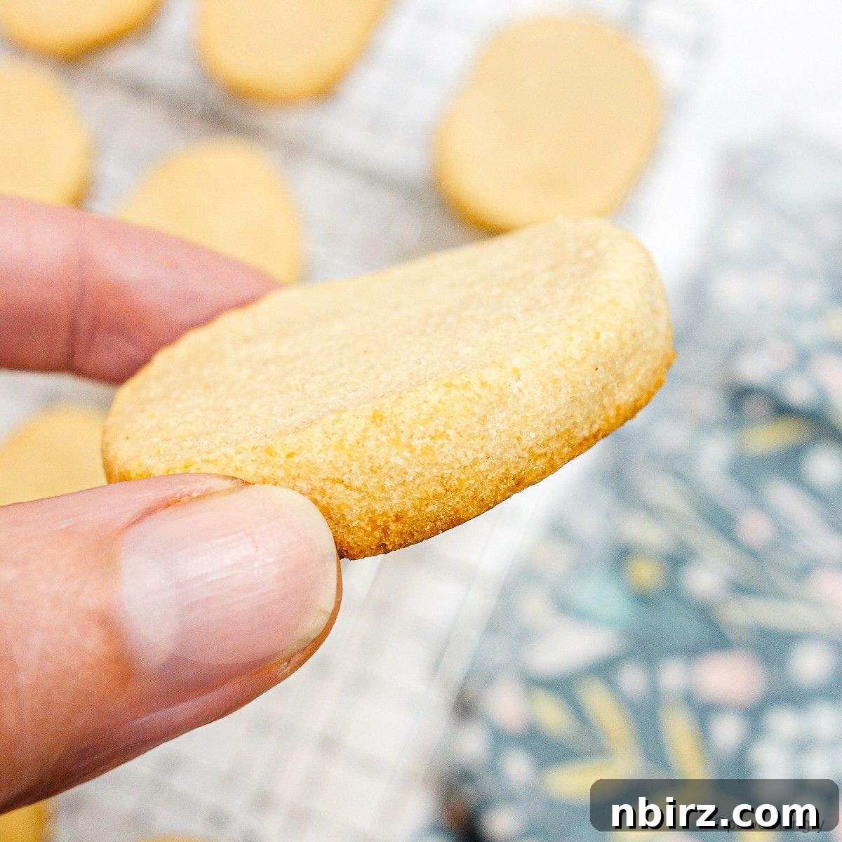 Heavenly Vegan Grain Free Cassava Shortbread Cookies 3 Close-up of a perfectly baked cassava flour shortbread cookie, held delicately in a hand, highlighting its crumbly texture and golden-brown perfection.