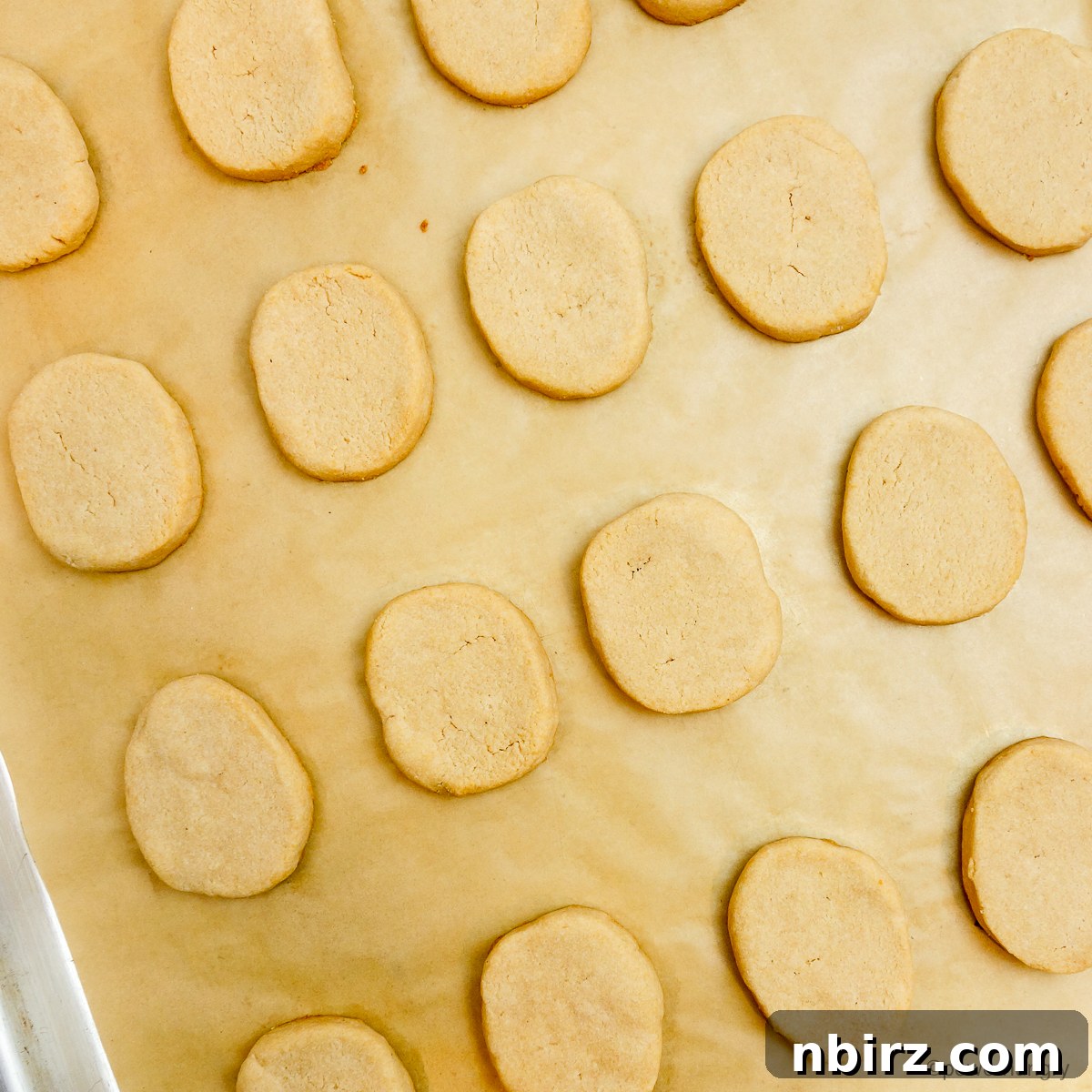 Heavenly Vegan Grain Free Cassava Shortbread Cookies 9 Freshly baked cassava flour shortbread cookies, with perfectly golden edges, cooling on a baking sheet straight out of the oven.