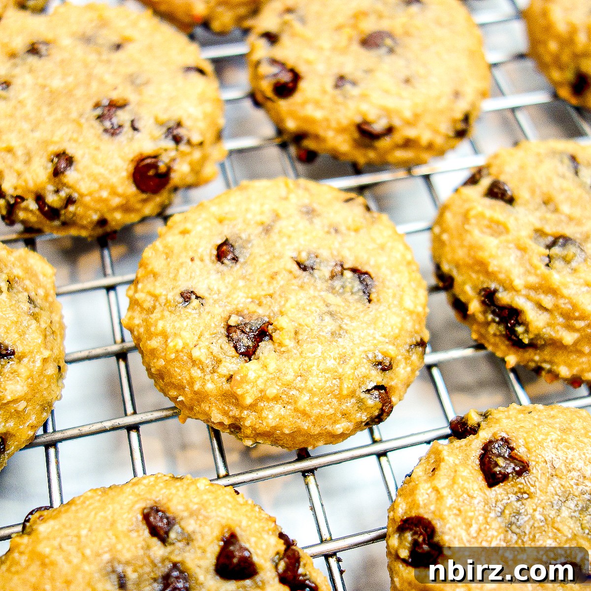 Deliciously Vegan Gluten-Free Almond Protein Cookies 3 Almond flour protein cookies cooling on a wire rack.