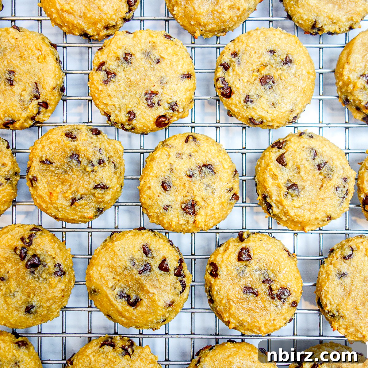 Deliciously Vegan Gluten-Free Almond Protein Cookies 10 Almond flour protein cookies cooling on a silver metal wire rack.