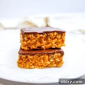 TVP Protein Crispy Bites Grain Free Oil Free 13 Two stacked TVP protein crispy treats