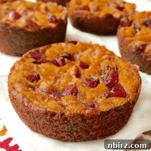 Close-up of Vegan Pumpkin Cranberry Blondie
