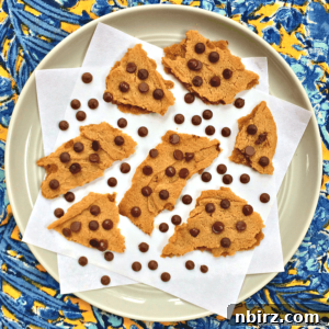 Crispy Vegan Chocolate Chip Cookie Brittle Grain Free Oil Free 2 pieces of vegan chocolate chip cookie brittle on a grey plate