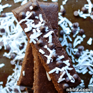 Plant-Powered 5-Ingredient Choco-Coconut Protein Bars 2 Vegan Chocolate Coconut Protein Bars