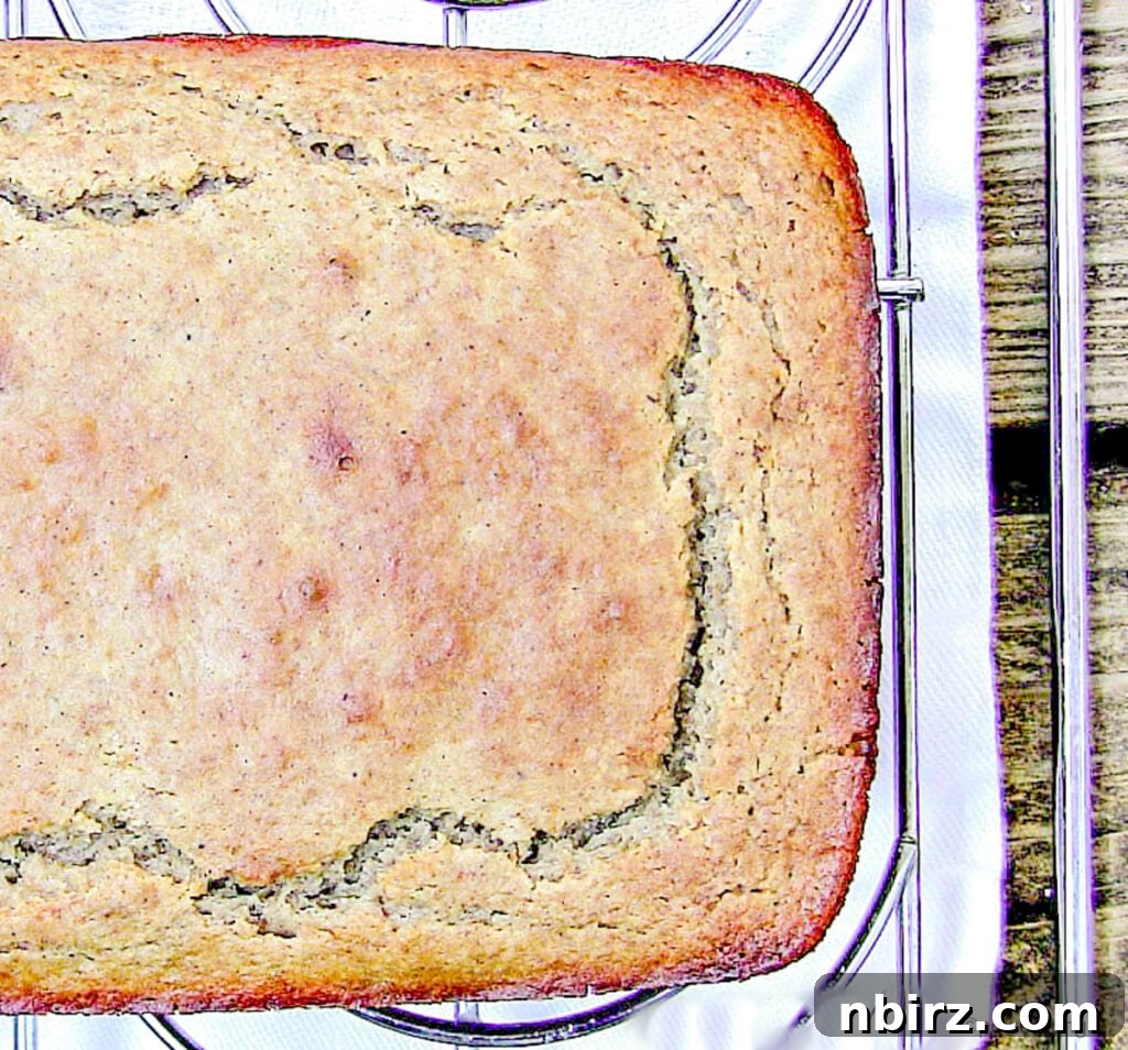 Vegan Gluten Free Quinoa Flour Banana Bread 3 overhead shot of vegan quinoa flour banana bread loaf on a cooling rack