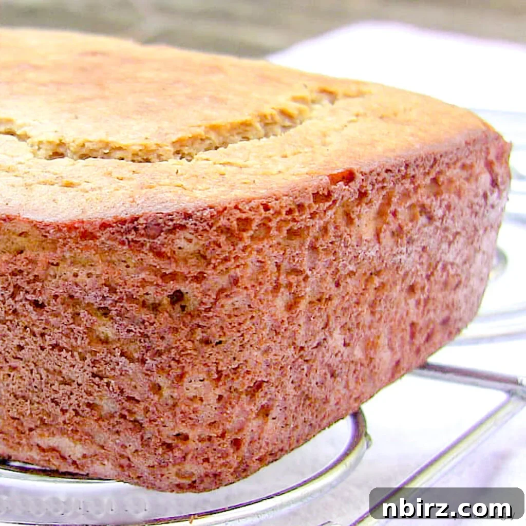 Vegan Gluten Free Quinoa Flour Banana Bread 5 close up of a loaf of quinoa banana bread
