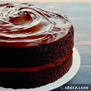 Two-layer vegan chickpea flour chocolate cake with smooth chocolate frosting