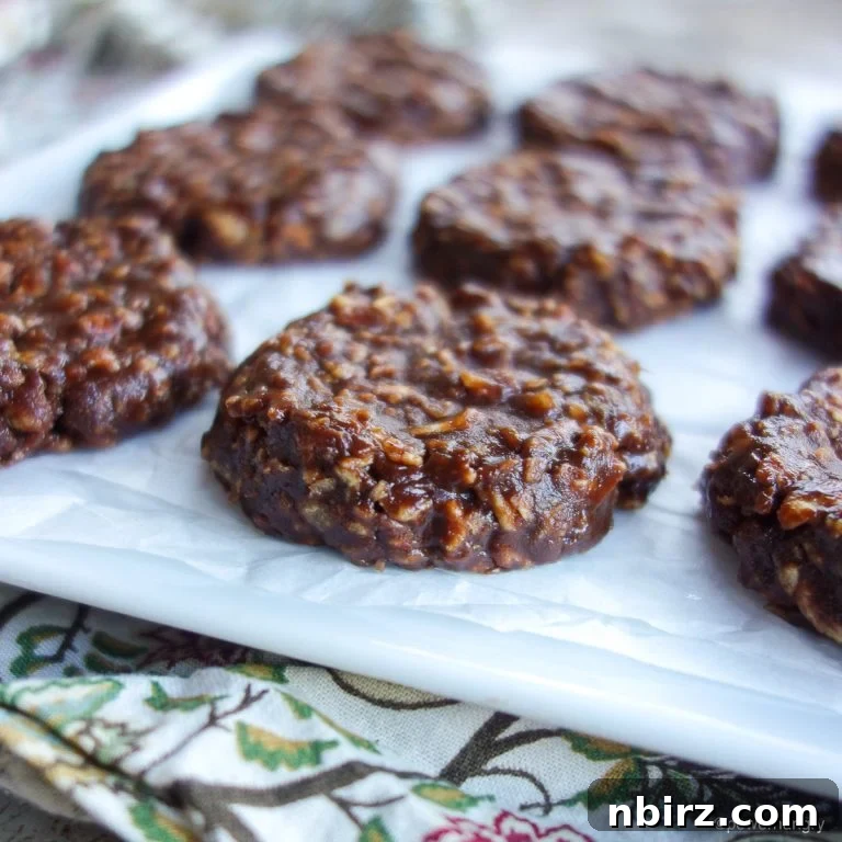 No Bake Chocolate TVP Protein Cookies
