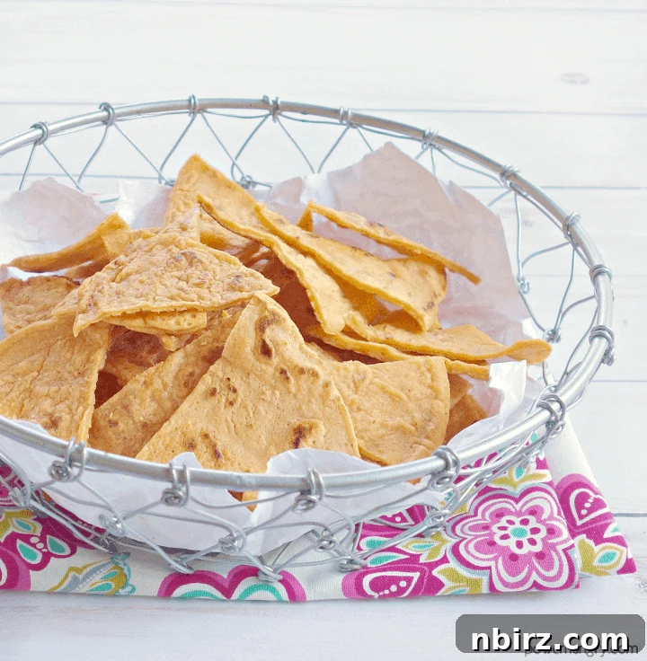 Red Lentil Tortilla Chips