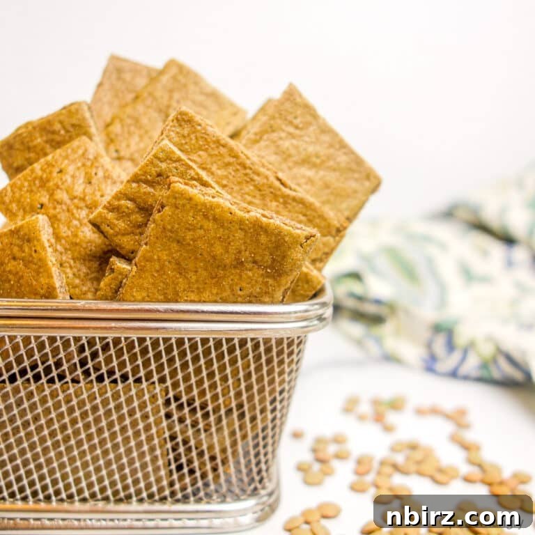 Lentil Protein Crackers