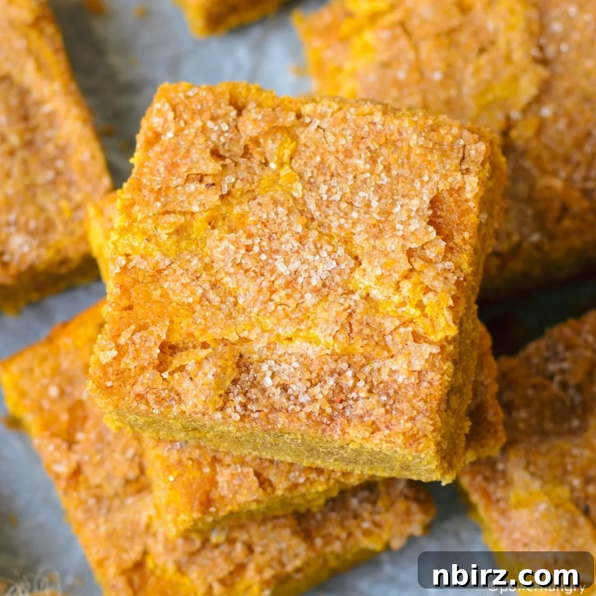 Vegan Pumpkin Protein Bars Close Up Close-up of vegan pumpkin protein bars