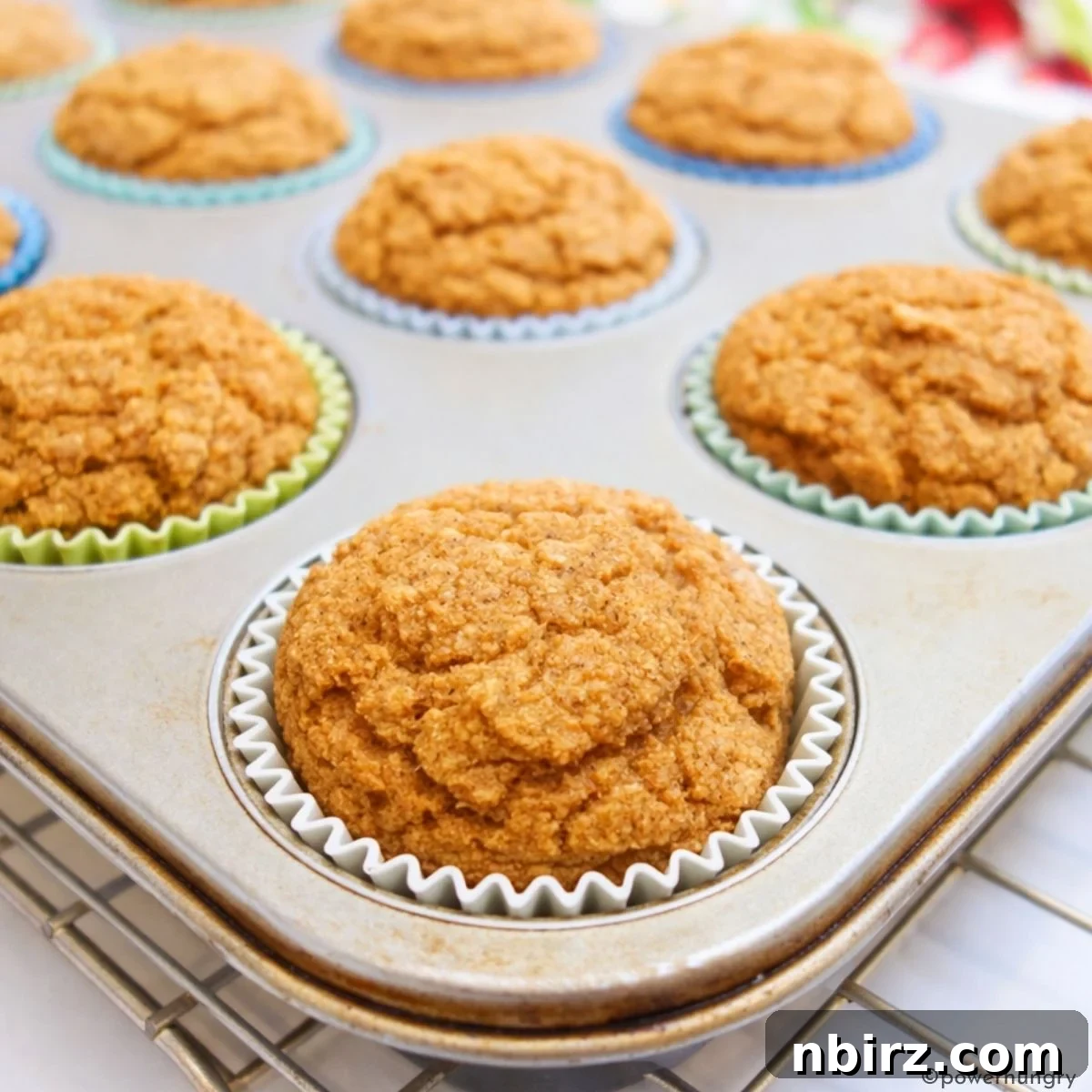 Baked applesauce oat flour muffins in the tin on a cooling rack