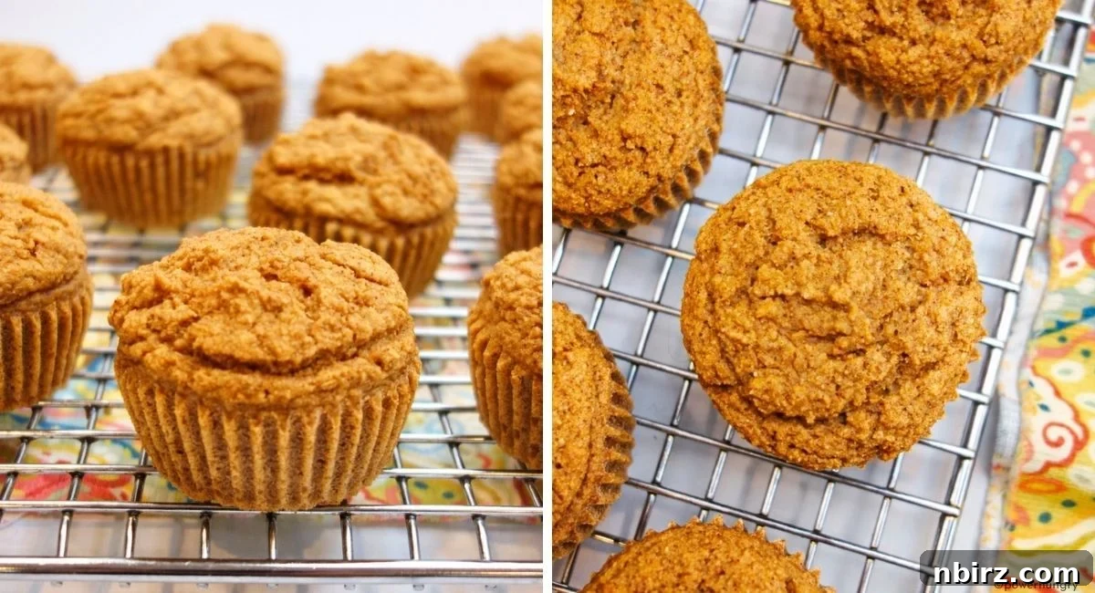 Overhead shot of applesauce oat flour muffins