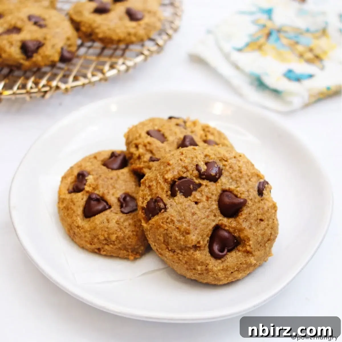 Soft and chewy vegan oat flour chocolate chip cookies on a plate, featuring melty dark chocolate chips.