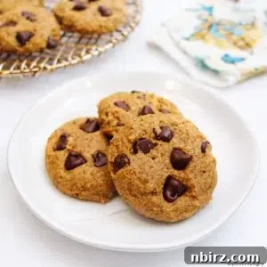 oat flour chocolate chip cookies on plate