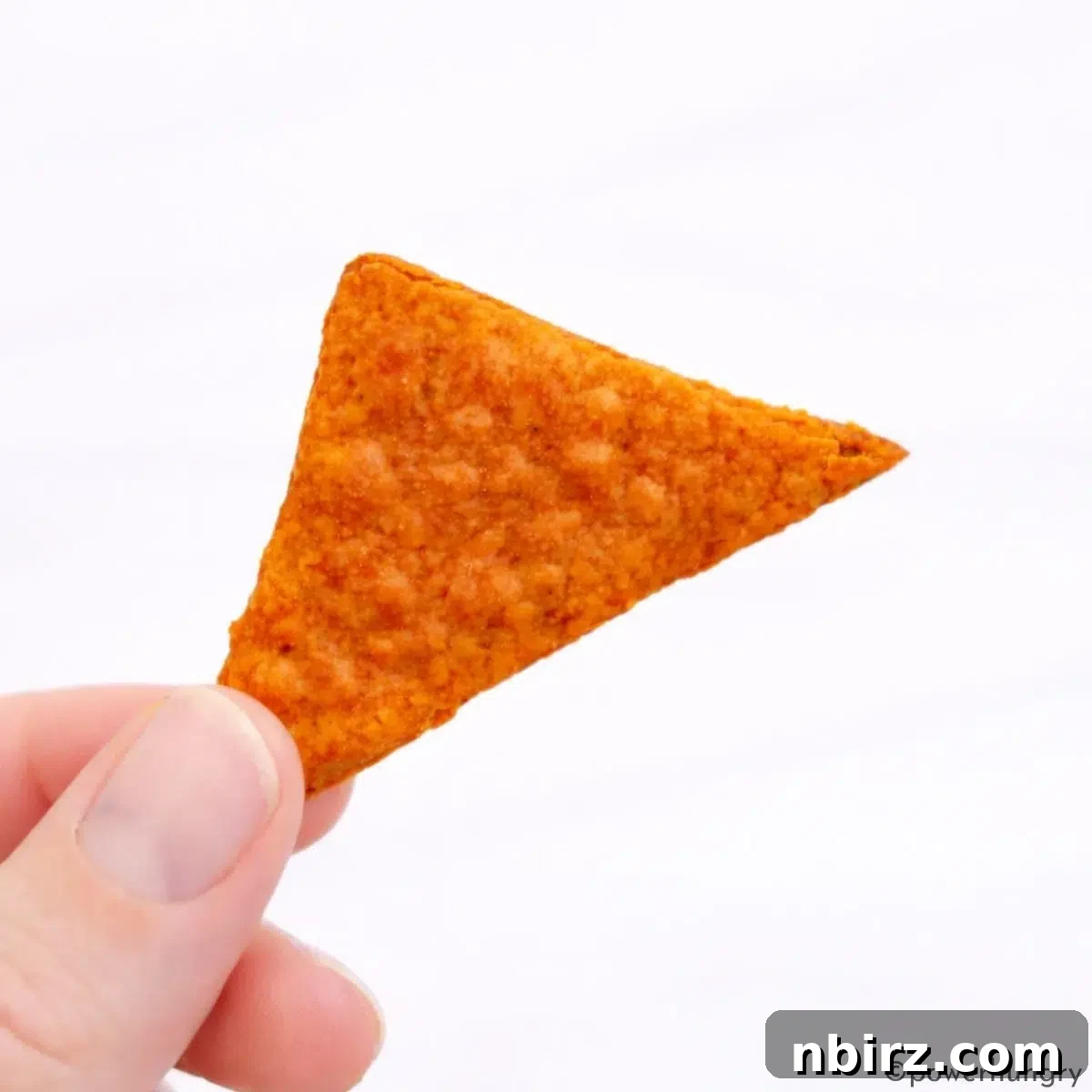 Crunchy Zesty High Protein Lentil Chips Vegan Grain Free 9 A single perfectly baked, crispy high-protein lentil chip resting on a neutral background.