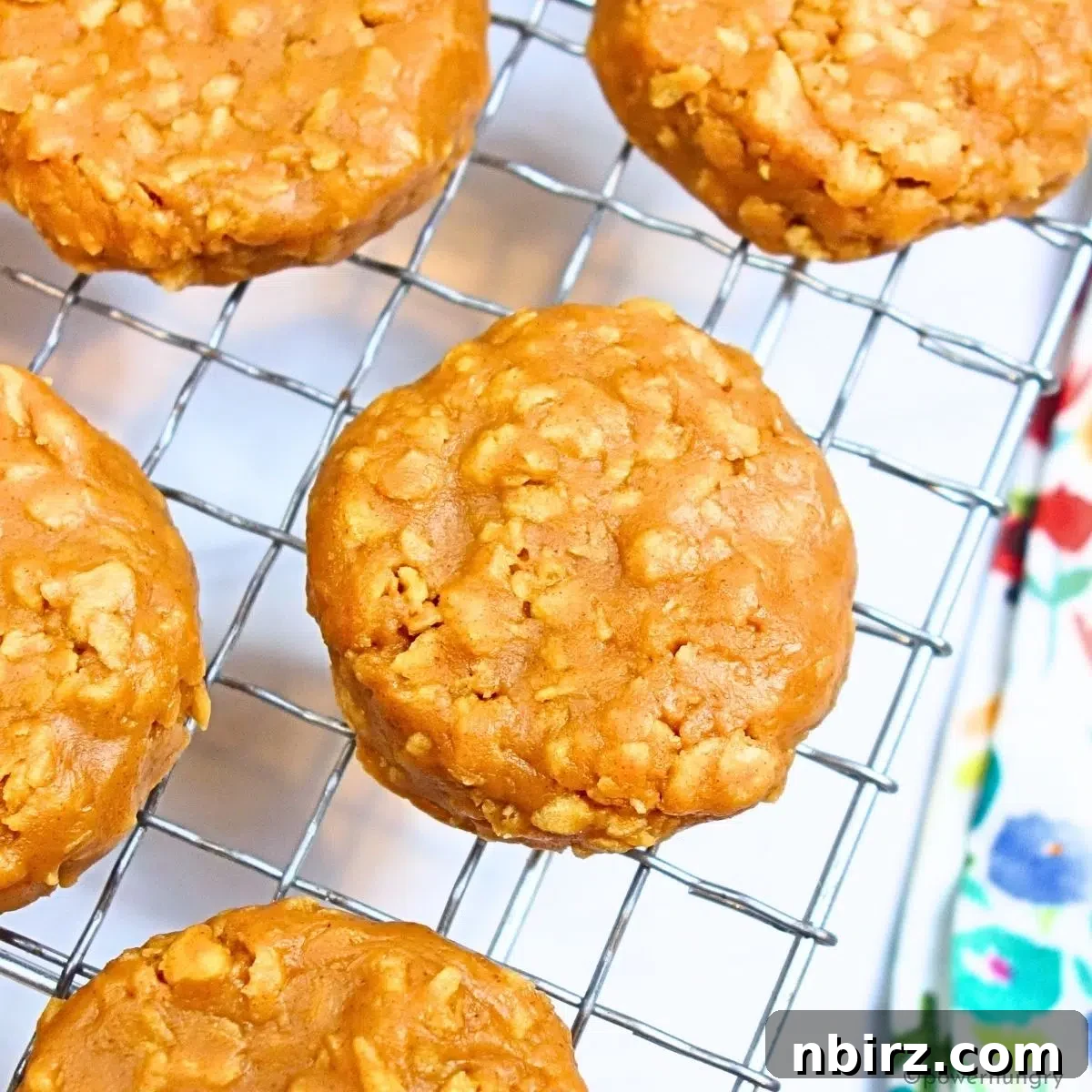 3-Ingredient Vegan No‑Bake Protein Cookies (Grain-Free) 3 overhead shot of 3 ingredient no-bake protein cookies