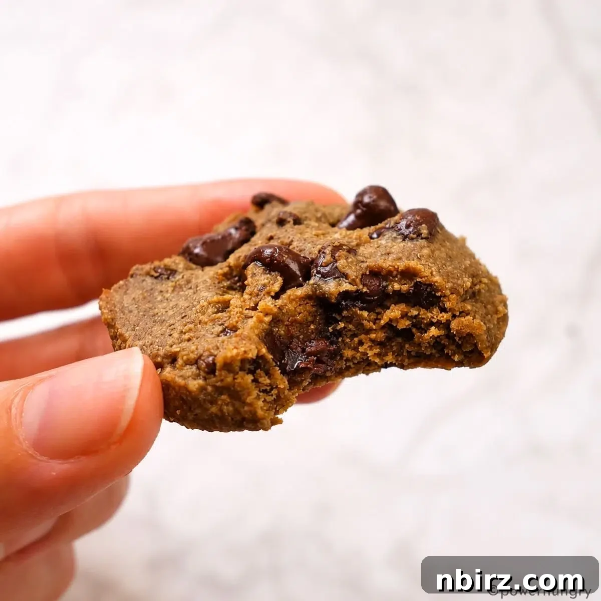 a single vegan lentil chocolate chip cookie with a bite taken out