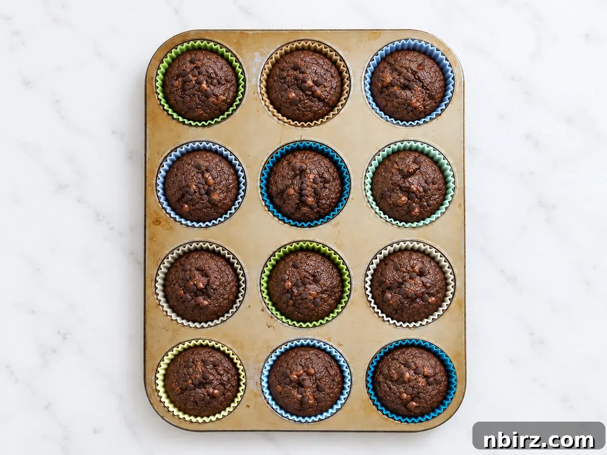 fresh baked vegan chocolate buckwheat muffins still in the muffin tin
